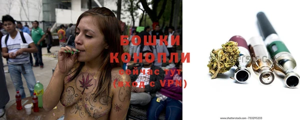 ешки Арсеньев