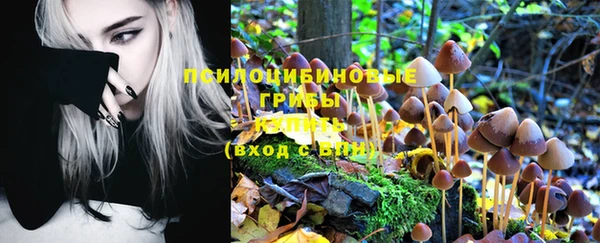 прущие крисы Аркадак
