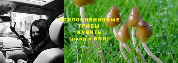 прущие крисы Аркадак
