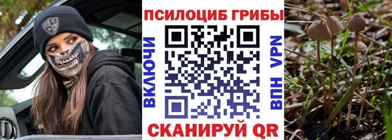 Псилоцибиновые грибы мухоморы где можно купить наркотик маркетплейс как зайти Судак kraken вход